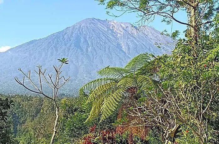 Mahagiri & Restaurant 4*